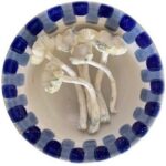 Premium Blaue Pulaski Zauberpilze